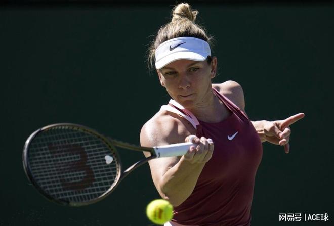 出茅庐的新 出茅庐的新