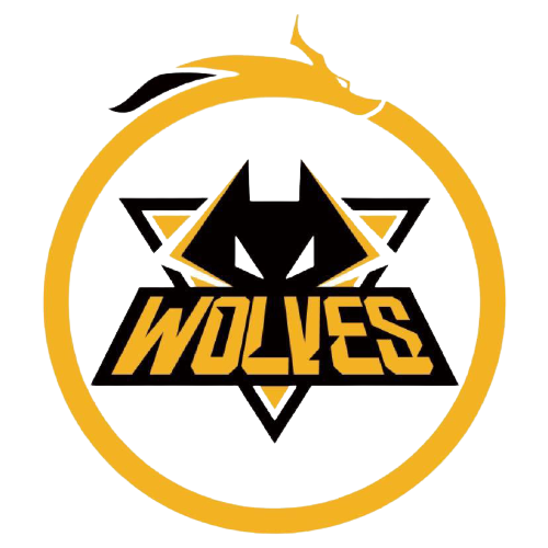 中国足球队 中国足球队